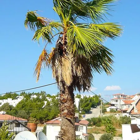 Villa Pusula