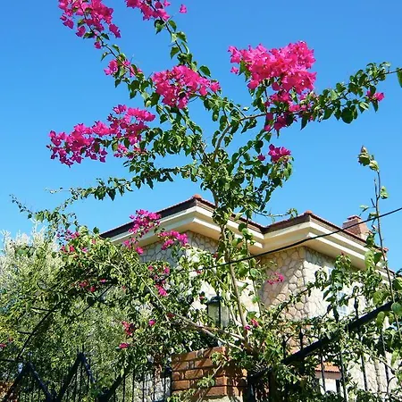 빌라 Pusula